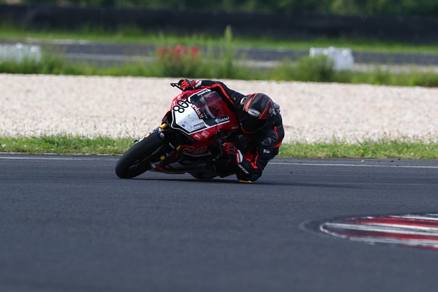 球队的热爱 球队的热爱